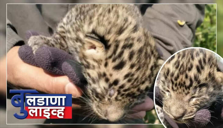 मेहकर