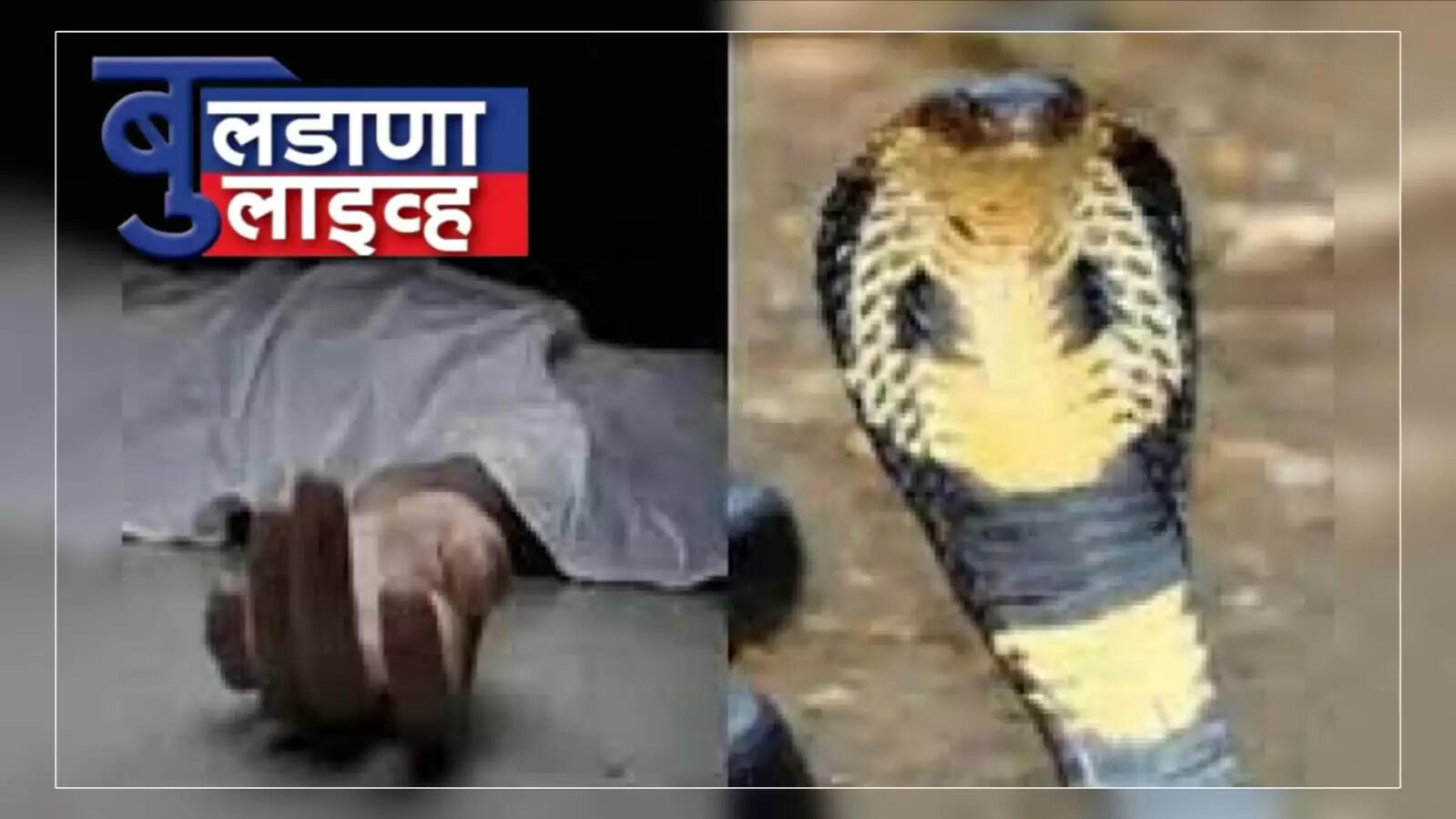 डोणगावं 