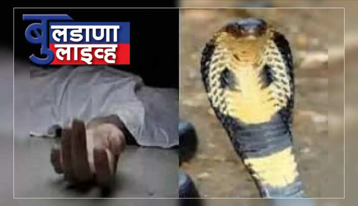 डोणगावं 