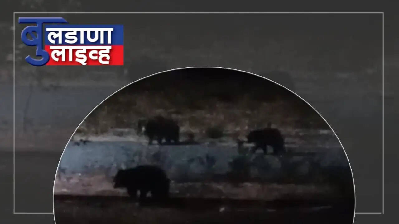 बुलढाणा