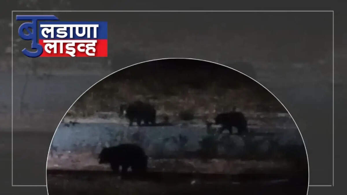 बुलढाणा