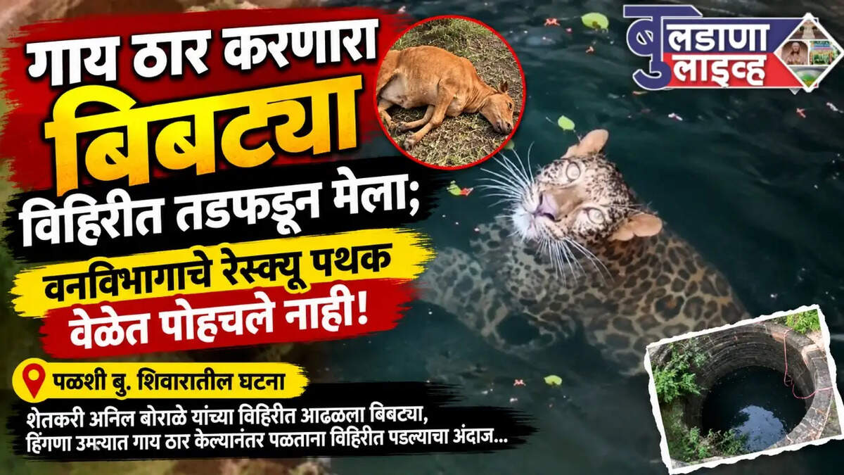 पळशी बु.
