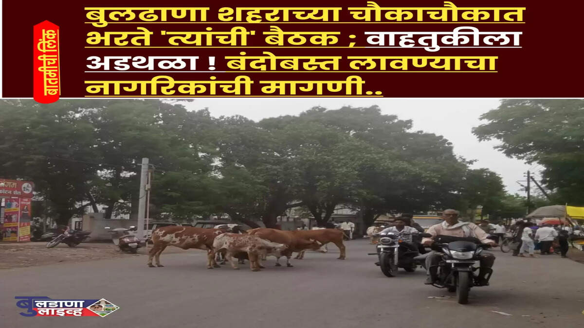 बुलडाणा