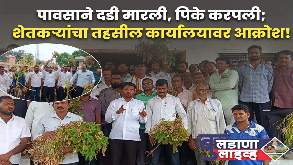 जळगाव जामोद 
