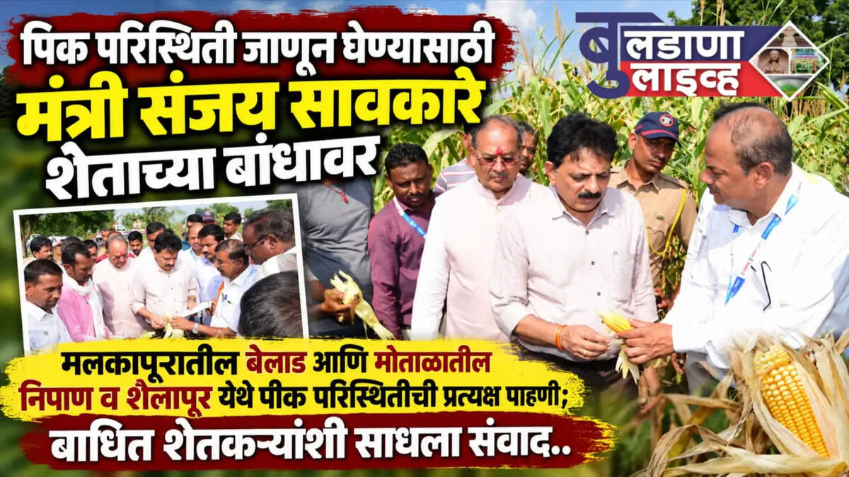 बुलडाणा 