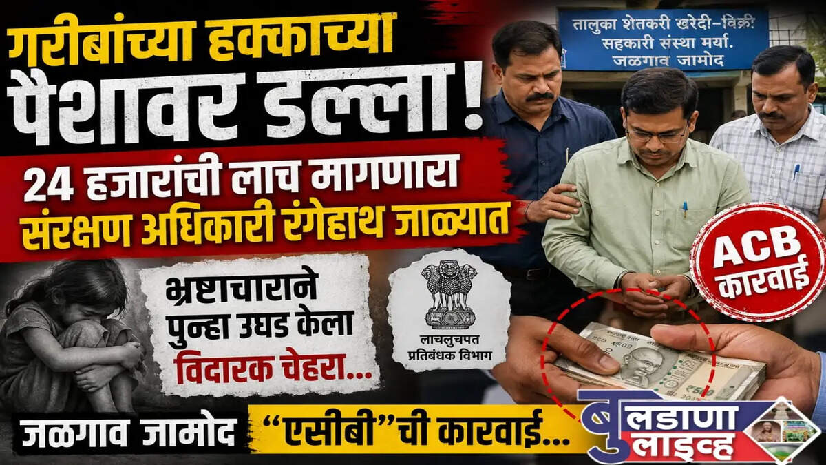 जळगाव जामोद 