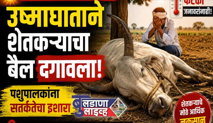 शेतकरी 