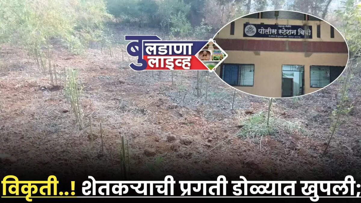 प्रगती 