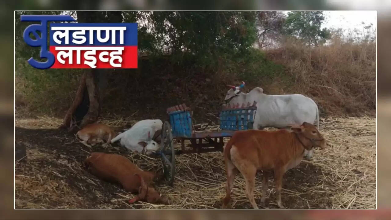 सिंदखेडराजा