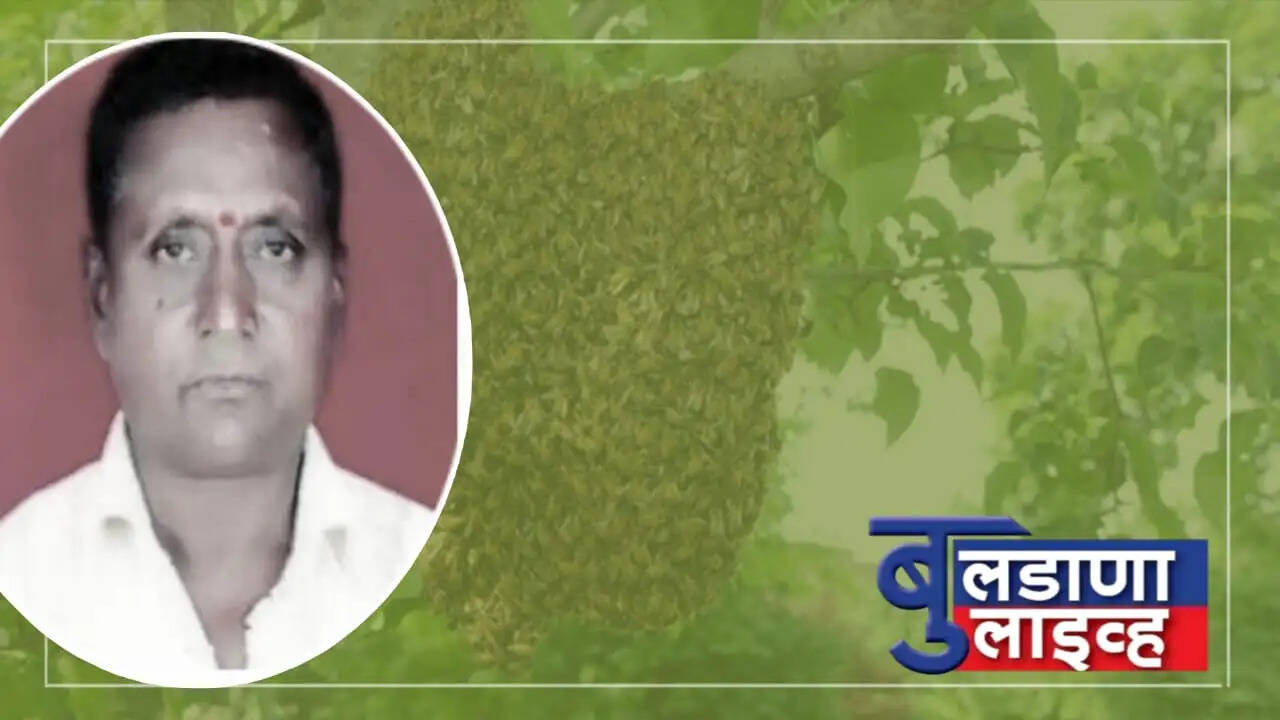 बुलडाणा